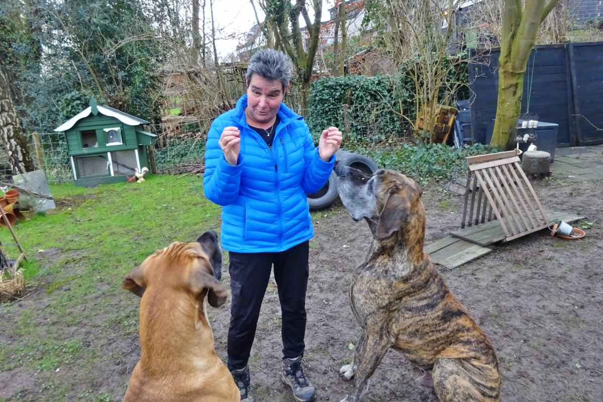 snuffeltuin aan de waal