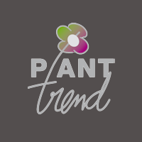 Plant Trend BV